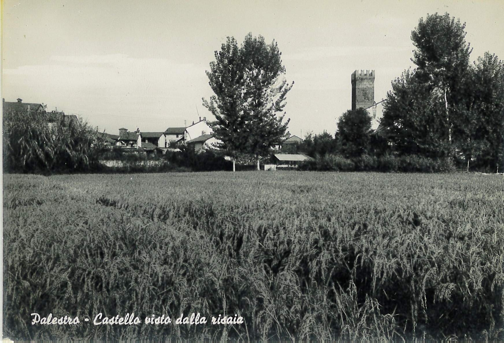 Cartolina fotografica “Palestro – Castello visto dalla risaia”