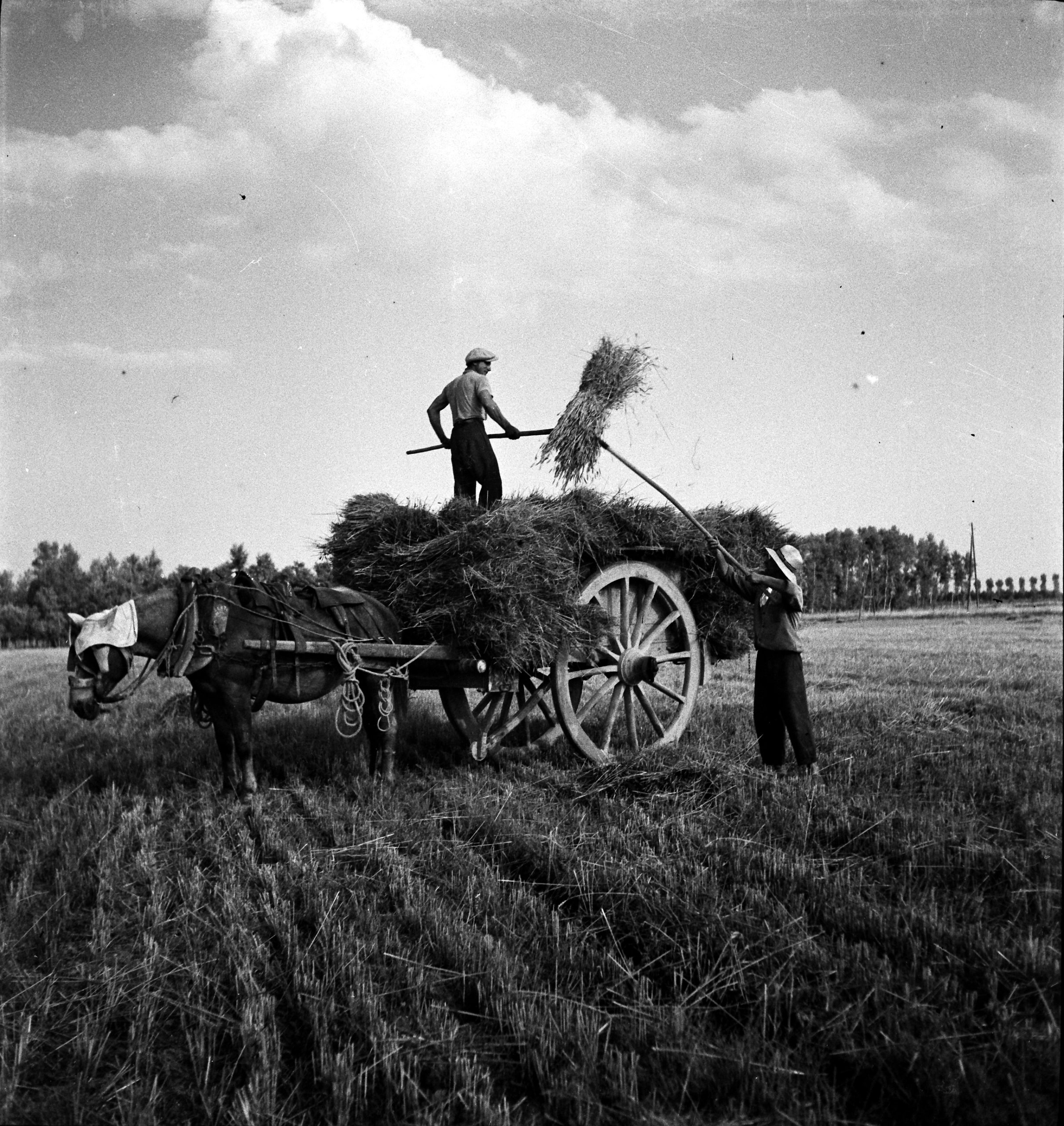 Antiche fotografie di Candia Lomellina