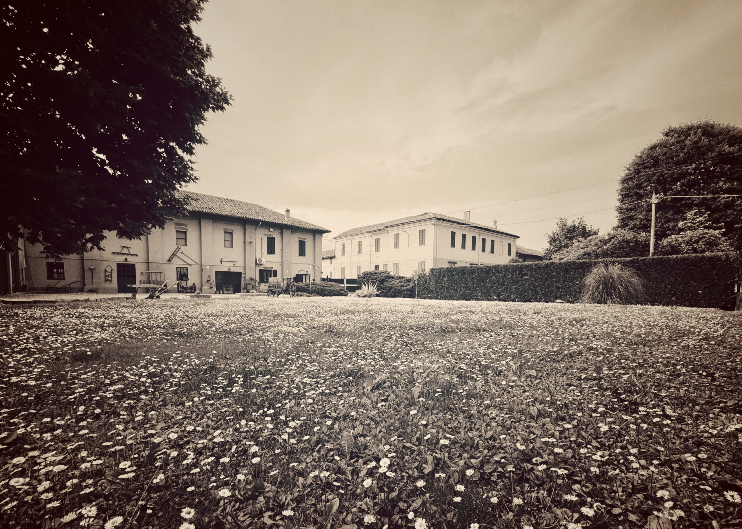 Tenuta Pavarella a Candia Lomellina